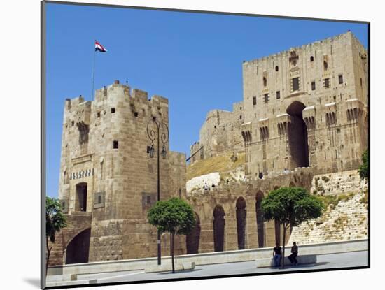 Syria, Aleppo; Entrance to the Citadel-Nick Laing-Mounted Photographic Print