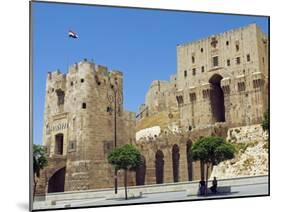 Syria, Aleppo; Entrance to the Citadel-Nick Laing-Mounted Photographic Print