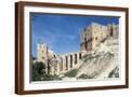 Brown Frame