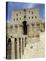 Syria, Aleppo, the Citadel-null-Stretched Canvas