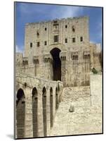 Syria, Aleppo, the Citadel-null-Mounted Photographic Print