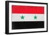 Syria Flag Design with Wood Patterning - Flags of the World Series-Philippe Hugonnard-Framed Premium Giclee Print