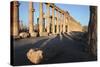 Syria, Palmyra, Colonnaded Street, the Decumanus-Steve Roxbury-Stretched Canvas