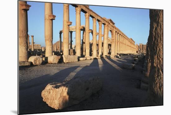 Syria, Palmyra, Colonnaded Street, the Decumanus-Steve Roxbury-Mounted Photographic Print