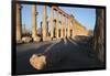 Syria, Palmyra, Colonnaded Street, the Decumanus-Steve Roxbury-Framed Premium Photographic Print