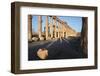Syria, Palmyra, Colonnaded Street, the Decumanus-Steve Roxbury-Framed Premium Photographic Print
