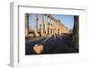 Syria, Palmyra, Colonnaded Street, the Decumanus-Steve Roxbury-Framed Photographic Print