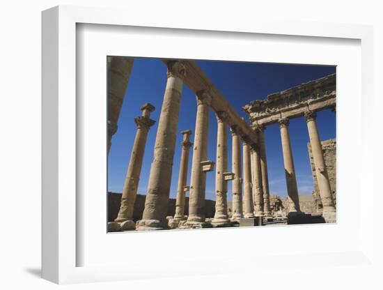 Syria, Palmyra, View of Temple of Bel-Steve Roxbury-Framed Photographic Print
