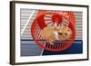 Syrian Hamster Running in Hamster Wheel-null-Framed Photographic Print