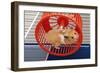 Syrian Hamster Running in Hamster Wheel-null-Framed Photographic Print