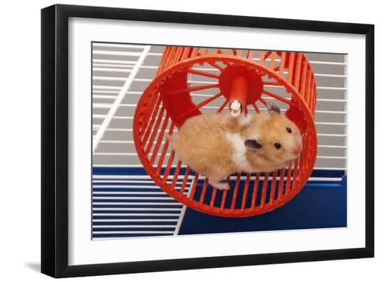 Premium Photographic Print, , large