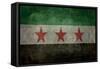 Syrian Interim Government And Syrian National Coalition'S National Flag-Bruce stanfield-Framed Stretched Canvas