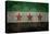 Syrian Interim Government And Syrian National Coalition'S National Flag-Bruce stanfield-Stretched Canvas