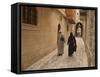 Syrian Women Walking Through Old Town, Al-Jdeida, Aleppo (Haleb), Syria, Middle East-Christian Kober-Framed Stretched Canvas