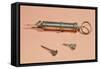 Syringe Invented by Charles-Gabriel Pravaz in 1853 with Various Needles-null-Framed Stretched Canvas