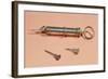 Syringe Invented by Charles-Gabriel Pravaz in 1853 with Various Needles-null-Framed Giclee Print