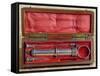 Syringe invented by Charles-Gabriel Pravaz-null-Framed Stretched Canvas