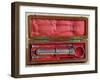 Syringe invented by Charles-Gabriel Pravaz-null-Framed Giclee Print