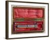 Syringe invented by Charles-Gabriel Pravaz-null-Framed Giclee Print