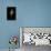 Syrinx Aruanus - Juvenil-Paul Starosta-Stretched Canvas displayed on a wall