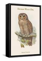 Syrnium Ocellatum - Speckled Wood Owl-John Gould-Framed Stretched Canvas