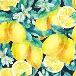 Watercolor Lemon Fruit Branch with Leaves Seamless Pattern on Black Background. Lemon Citrus Tree.-Syrytsyna Tetiana-Stretched Canvas