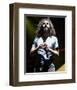 System of a Down-null-Framed Photo