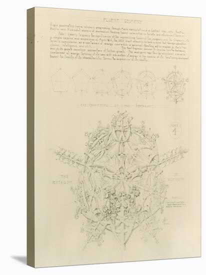 System of Architectural Ornament: Plate 4, Fluent Geometry, 1922-23-Louis Sullivan-Stretched Canvas