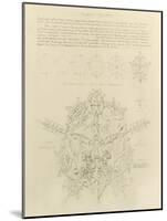 System of Architectural Ornament: Plate 4, Fluent Geometry, 1922-23-Louis Sullivan-Mounted Giclee Print