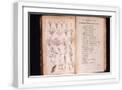 White Frame