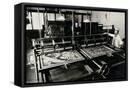 Framed Canvas
