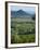 Szigliget Peninsula, Lake Balaton, Hungary-Doug Pearson-Framed Photographic Print