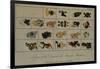 T.1602 Signs of the Days in the Mexican Almanac, from Vol II of 'Researches Concerning the…-Friedrich Alexander, Baron Von Humboldt-Framed Giclee Print