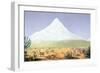 T.1607 Chimborazo, from 'Views of Nature', Pub. C.1850-Friedrich Alexander, Baron Von Humboldt-Framed Giclee Print