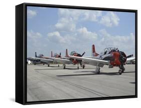 T-28C Trojan Aircraft Lined Up On the Flight Line-Stocktrek Images-Framed Stretched Canvas