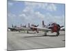 T-28C Trojan Aircraft Lined Up On the Flight Line-Stocktrek Images-Mounted Photographic Print