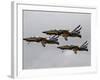 T-50 Golden Eagles from the Republic of Korea Air Force Aerobatic Team-Stocktrek Images-Framed Photographic Print