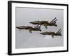 T-50 Golden Eagles from the Republic of Korea Air Force Aerobatic Team-Stocktrek Images-Framed Photographic Print