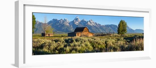 T. A. Moulton Barn in field, Mormon Row, Grand Teton National Park, Wyoming, USA-null-Framed Photographic Print