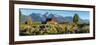 T. A. Moulton Barn in field, Mormon Row, Grand Teton National Park, Wyoming, USA-null-Framed Photographic Print