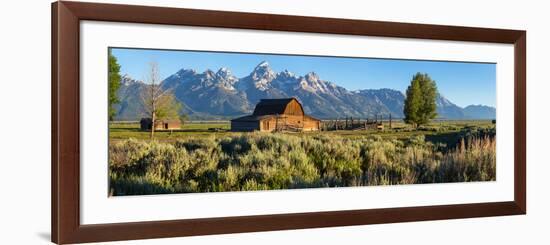 T. A. Moulton Barn in field, Mormon Row, Grand Teton National Park, Wyoming, USA-null-Framed Photographic Print