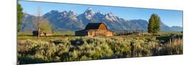 T. A. Moulton Barn in field, Mormon Row, Grand Teton National Park, Wyoming, USA-null-Mounted Photographic Print