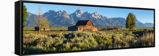 T. A. Moulton Barn in field, Mormon Row, Grand Teton National Park, Wyoming, USA-null-Framed Stretched Canvas