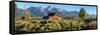 T. A. Moulton Barn in field, Mormon Row, Grand Teton National Park, Wyoming, USA-null-Framed Stretched Canvas