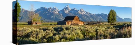 T. A. Moulton Barn in field, Mormon Row, Grand Teton National Park, Wyoming, USA-null-Stretched Canvas