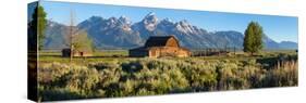 T. A. Moulton Barn in field, Mormon Row, Grand Teton National Park, Wyoming, USA-null-Stretched Canvas