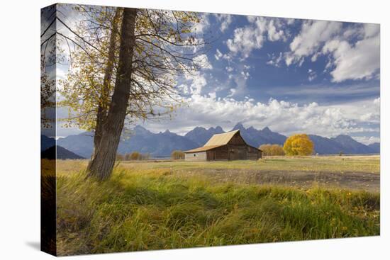 T.A. Moulton Barn, Mormon Row, Grand Teton National Park, Wyoming, USA-Maresa Pryor-Stretched Canvas