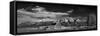 T A Moulton Barn Panorama BW-Steve Gadomski-Framed Stretched Canvas