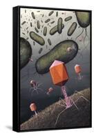 T-bacteriophages Attacking E. Coli-Richard Bizley-Framed Stretched Canvas