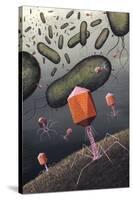 T-bacteriophages Attacking E. Coli-Richard Bizley-Stretched Canvas